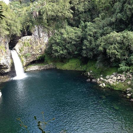 Le Beau Vallon 1- Jacuzzi Privatif Et Piscine Chauffee Partagee Saint-Benoît 외부 사진