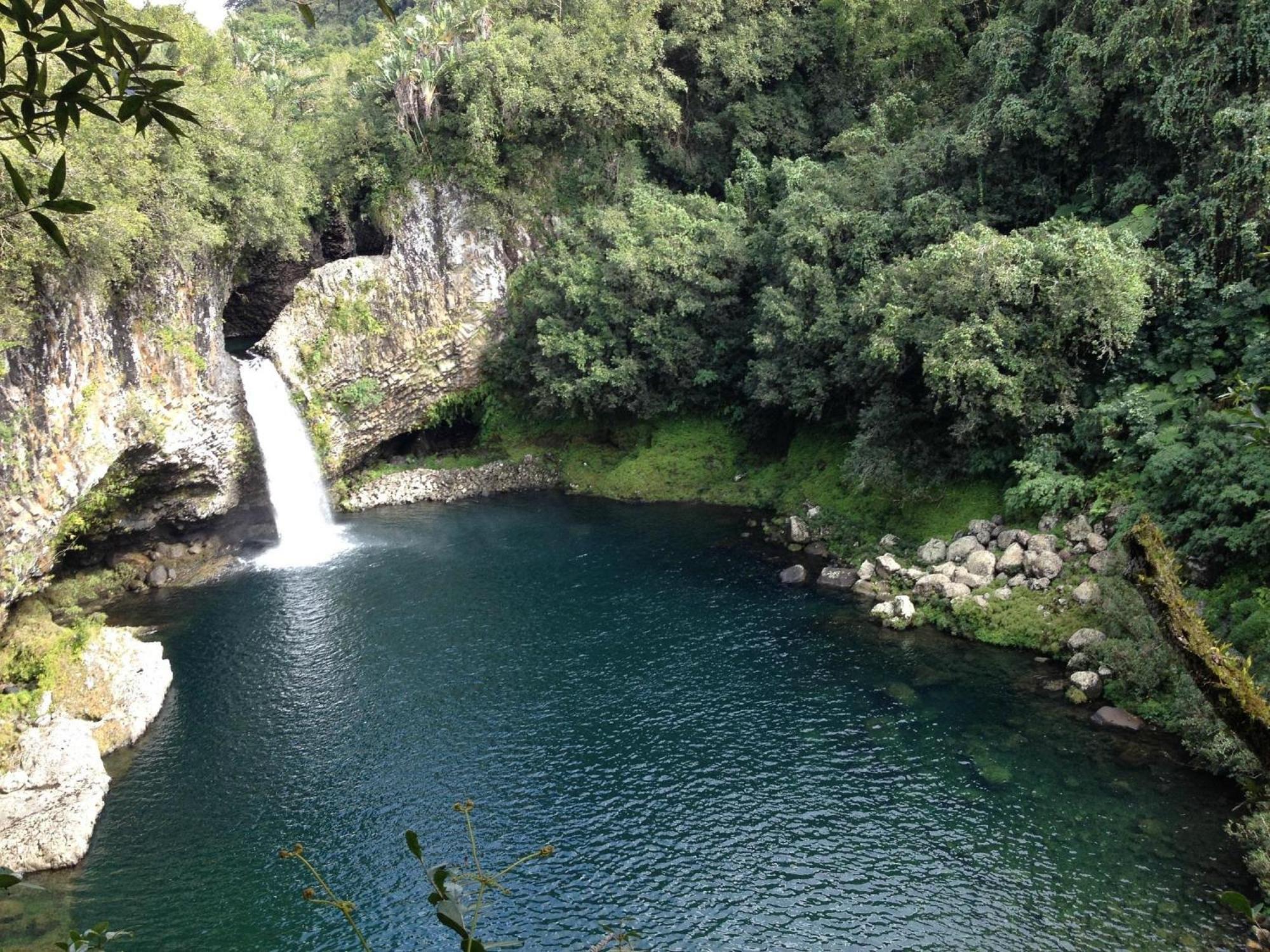 Le Beau Vallon 1- Jacuzzi Privatif Et Piscine Chauffee Partagee Saint-Benoît 외부 사진